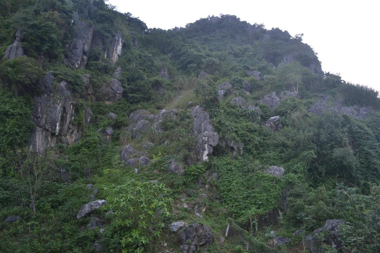 Phong Nha Homestay 외부 사진